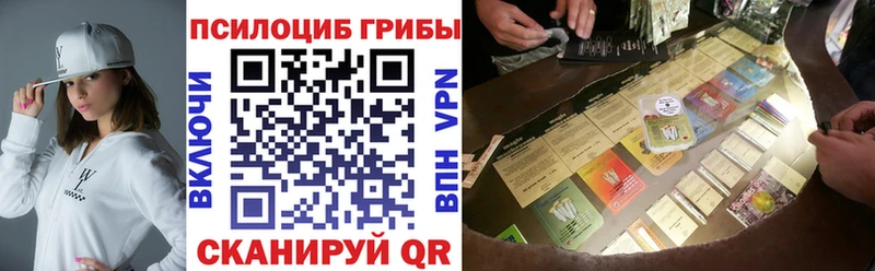 Псилоцибиновые грибы Psilocybe  дарнет шоп  Камышин 